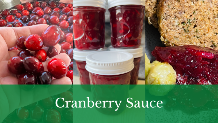 cranberry sauce beitragsbild