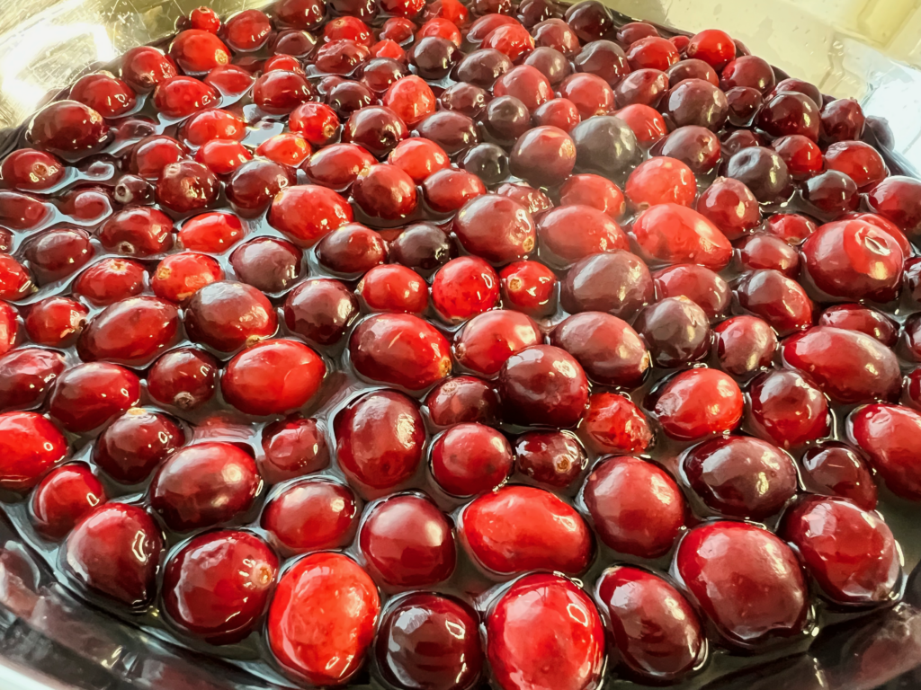 cranberries in wasser in edelstahlschüssel