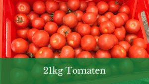 beitragstitelbild 21kg tomaten mit sehr vielen tomaten